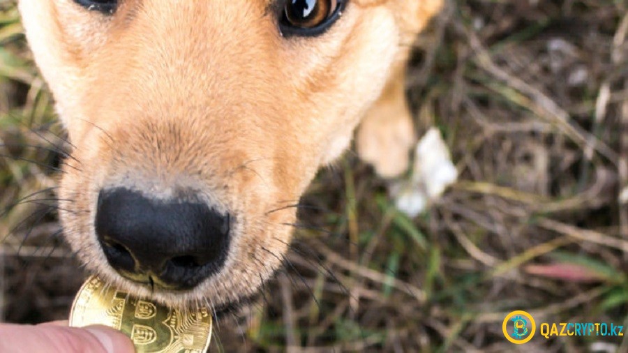 Мошенник потребовал $600 000 в биткоинах за потерявшуюся собаку