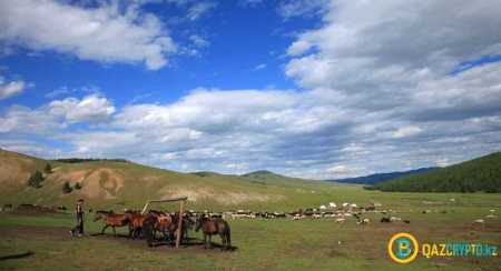 В 2019 в Монголии запустится 1000 новых майнеров