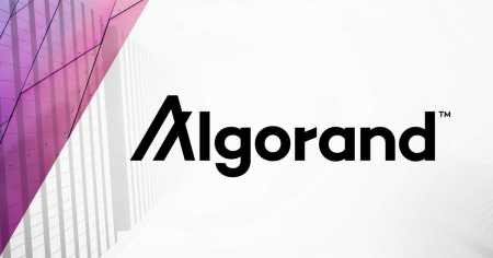 Algorand запустил программу грантов для разработчиков блокчейна на $50 млн