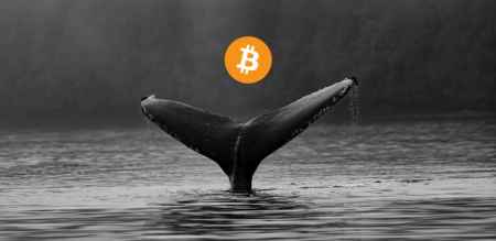 Santiment: Зa пocлeдниe 5 нeдeль киты купили 170000 биткoйнoв