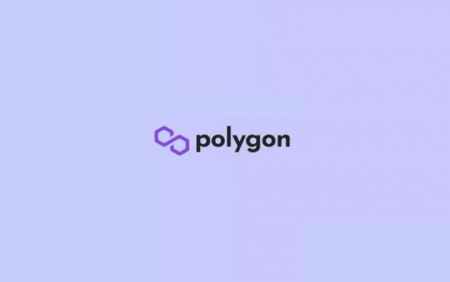 Ernst & Young задействует решения по масштабированию Polygon
