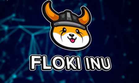 Цена монеты Floki Inu подскочила на 80%