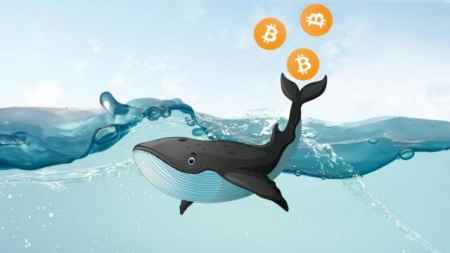 На «китовые» биткоин-транзакции все еще приходится большая часть