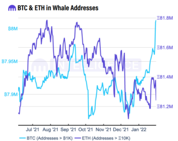 Аналитики Kraken считают, что обвал рынка криптовалют в январе произошел из-за разгрузки «китов»