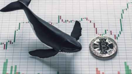 Аналитики Kraken считают, что обвал рынка криптовалют в январе произошел из-за разгрузки «китов»