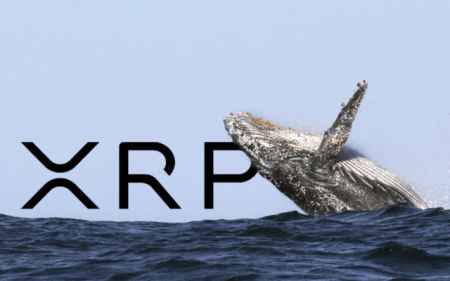 Число токенов XRP сосредоточенных в руках криптокитов бьет рекорды