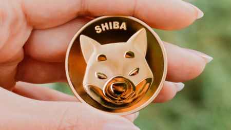 Shiba Inu растеряла 90% своей популярности
