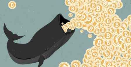 Число биткоин-китов резко увеличилось на 6%. Рост связывают с ситуацией вокруг Украины