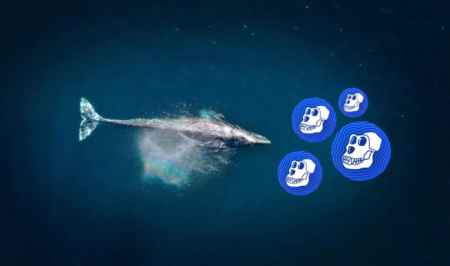 Главными держателями токена ApeCoin оказались Ethereum-киты