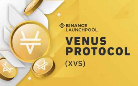 Venus Protocol будет перезапущен после отключения