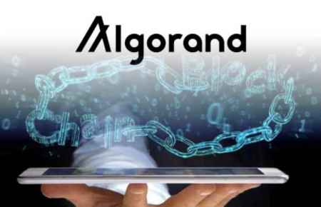 За неделю в сеть Algorand поступил рекордный приток инвестиций