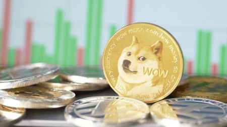 Около 50% адресов Dogecoin еще остаются в прибыли