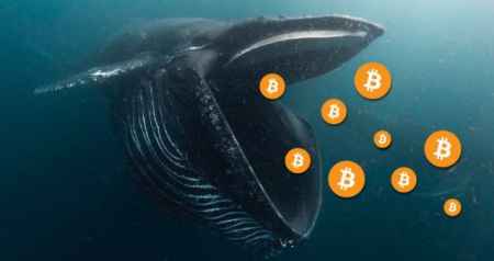 В сетях биткоина и Ethereum выросло количество китов