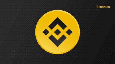 Крупнейший держатель BNB стал BNB Standard после голосования